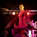 flamenco (79)